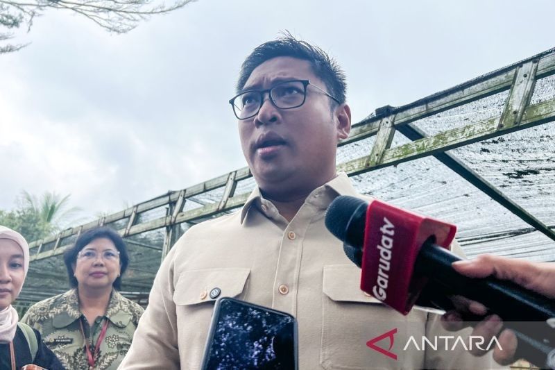 Skema Filial: Solusi Atasi Gudang Bulog Penuh Saat Panen Raya