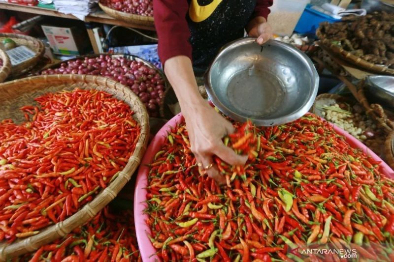 Harga Daging Ayam dan Cabai Rawit Naik, Catatan Bapanas Hari Ini