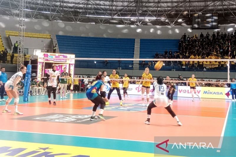 Petrokimia Raih Peringkat Tiga Proliga 2025 Setelah Taklukkan Jakarta Electric PLN