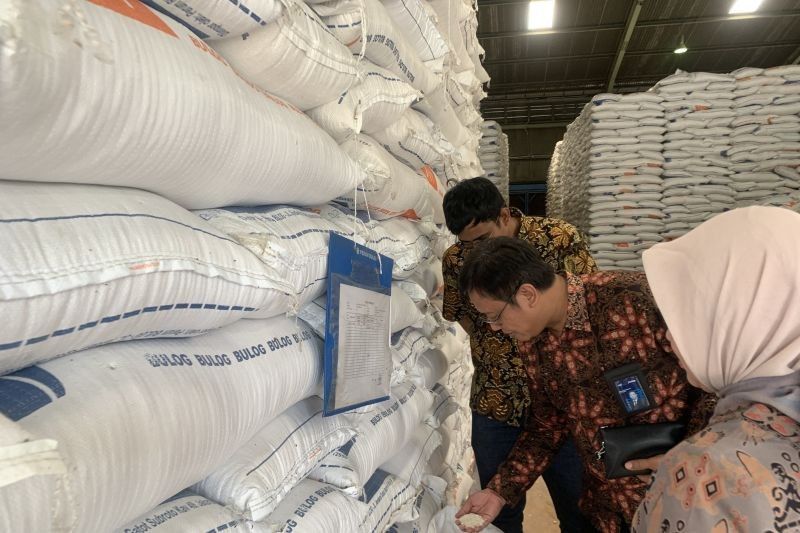 Bulog DKI Jakarta dan Banten Serap 45 Ribu Ton Gabah Petani, Hampir Capai Target