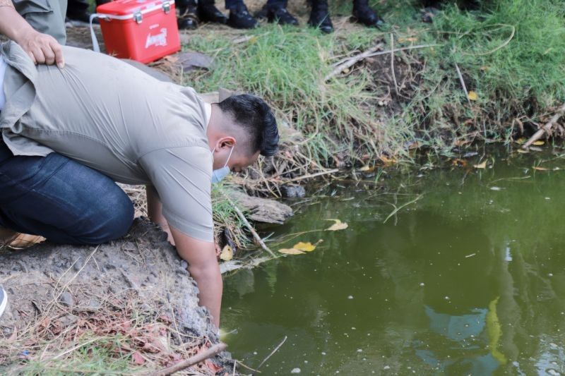 Pemkab Jember Usut Pencemaran Limbah di Desa Mayangan: Sampel Air Telah Diambil