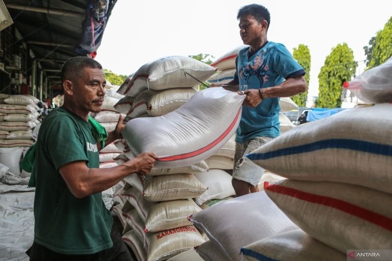 Indonesia Capai Rekor Cadangan Beras 3,5 Juta Ton: Sejarah Baru Perberasan Nasional