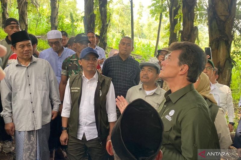 Menhut Tinjau Lahan Aren Garut: Dorong Produksi Bioetanol untuk Swasembada Energi