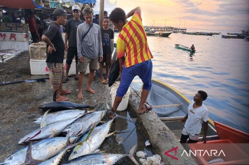 Nelayan Jayapura Lampaui Target Produksi Ikan Tahun 2024: 45.085 Ton!