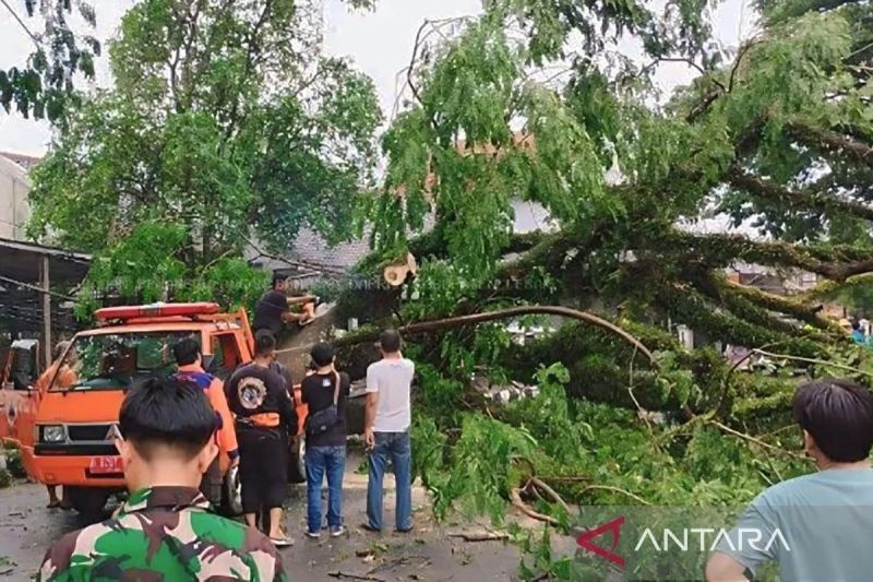 Waspada! BMKG Peringatkan Cuaca Buruk di Lebak dan Pandeglang