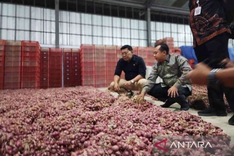 Harga Bawang Merah Turun, Daging Ayam Naik: Bapanas Catat Update Harga Pangan Terbaru