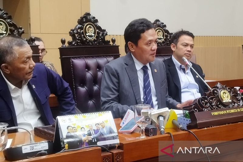 Mahasiswi ITB Ditangkap karena Meme Presiden, Komisi III DPR Ajukan Penjaminan
