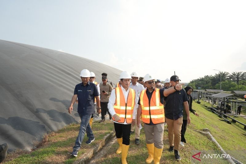 PalmCo Diajak Manfaatkan Perdagangan Karbon Internasional, Dorong Net Zero Emission 2060