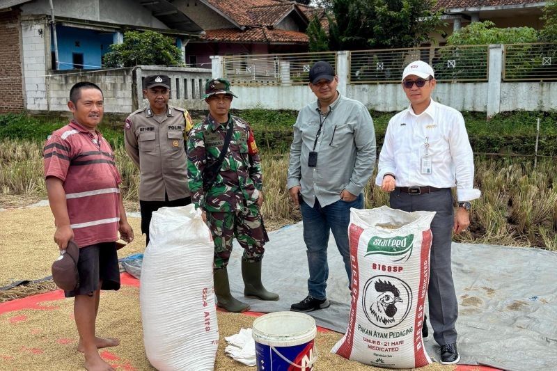 Bulog Jabar Sukses Serap Beras Petani, Lampaui Target Dua Kali Lipat!