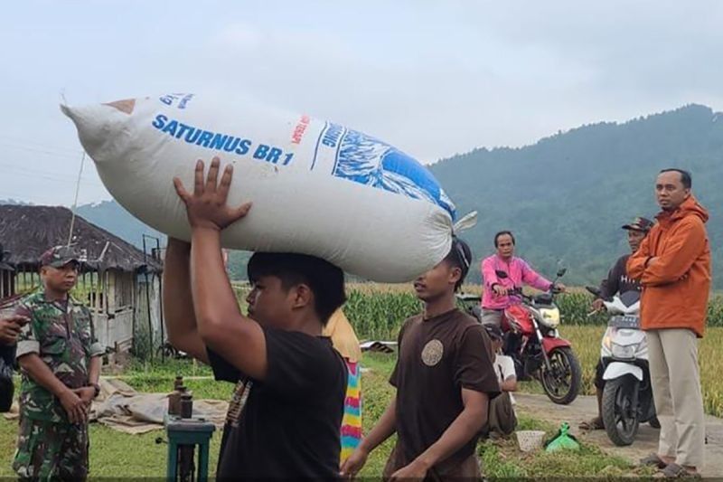 Bulog Banyumas dan Babinsa Tetap Serap Gabah Petani Saat Libur Waisak