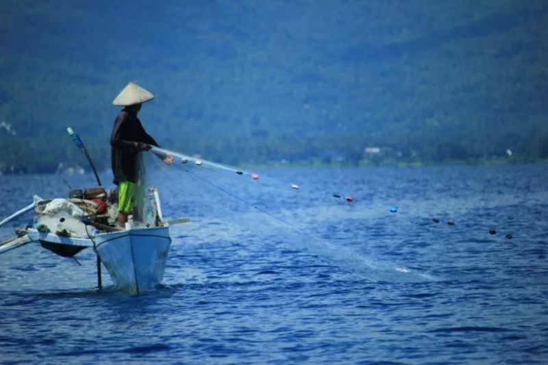 Kedaulatan Pangan Biru: Sinergi Ekonomi Biru dan MBG untuk Indonesia Emas