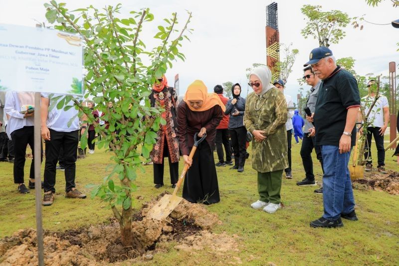 Jatim sebagai Gerbang Baru Nusantara: Khofifah Tanam Pohon Maja di IKN