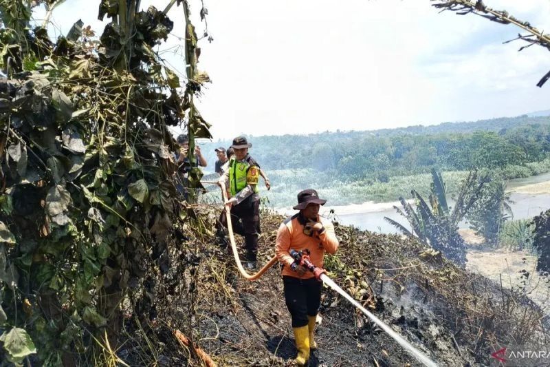 Waspada Karhutla! Tujuh Kabupaten di Sumsel Masuk Zona Rawan Kebakaran