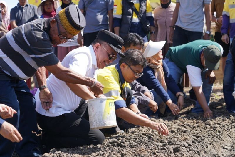 Wali Kota Palu Dukung Peningkatan Produksi Bawang, Dampingi Petani di Kelurahan Tanamodindi