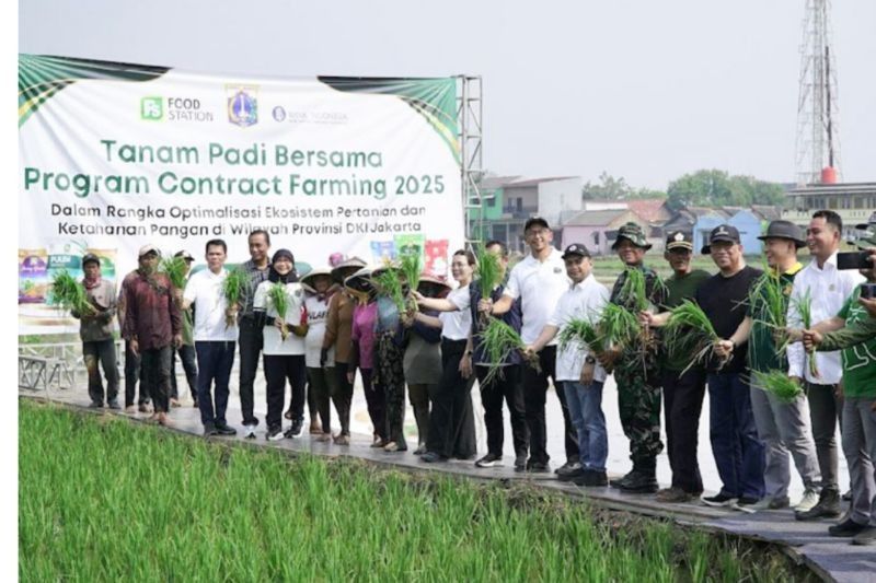 Pemprov DKI Jakarta Jalin Kerja Sama Pertanian Kontrak di Rorotan, Targetkan Swasembada Pangan