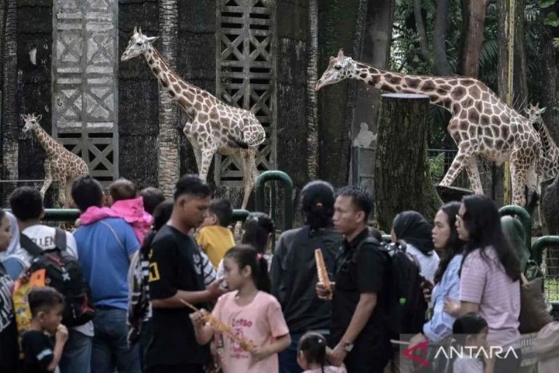 Libur Waisak, Ragunan Kedatangan 42.365 Pengunjung!