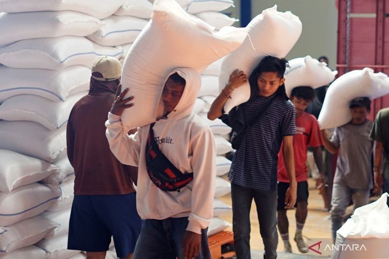 Satu Harga Gabah: Tantangan Regulasi Pangan dan Pelajaran Berharga