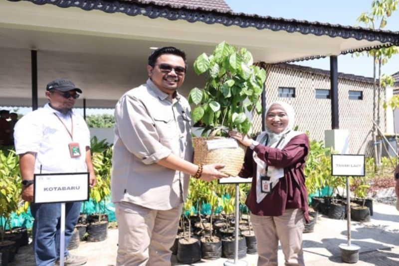 Tanah Bumbu Terima 500 Bibit Tanaman dari Kemenhut RI untuk Ketahanan Pangan