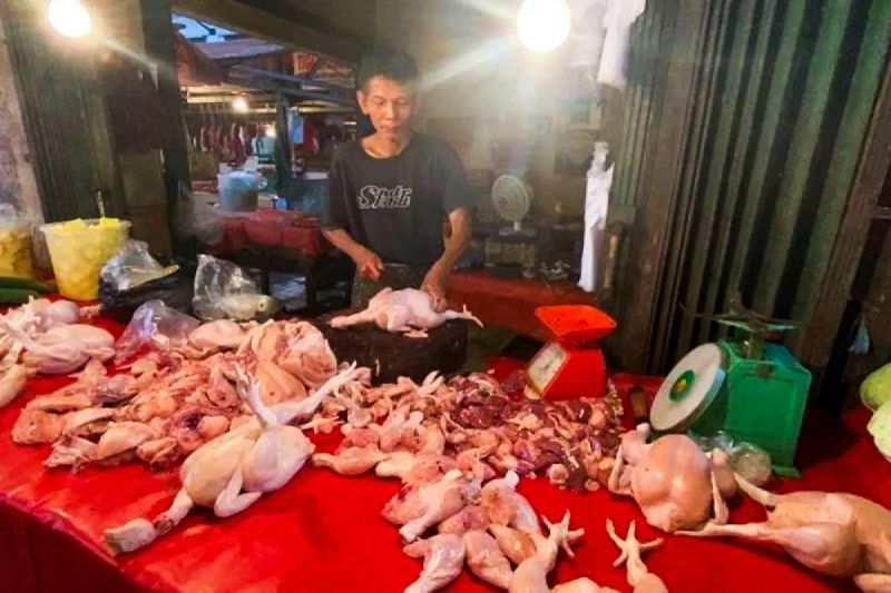 Harga Bawang Merah Turun, Daging Ayam Juga Murah! Cek Update Harga Pangan Terbaru dari Bapanas