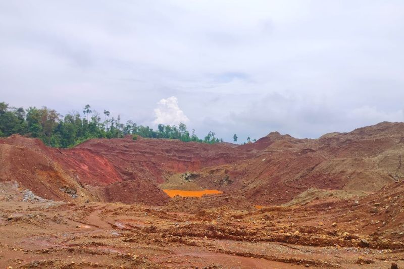 AMS Desak Pemerintah Tindak Tambang Nikel Ilegal di Morowali