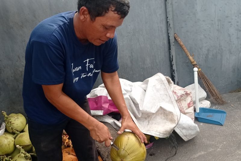 Omzet Pedagang Kelapa Muda di Rangkasbitung Meroket di Musim Kemarau