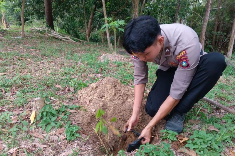 Polres Lingga Tanam 250 Pohon Jengkol: Lestarikan Lingkungan, Antisipasi Perubahan Iklim