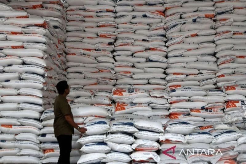 Indonesia: Produsen Beras Terbesar ASEAN, Stok CBP Tembus 3,7 Juta Ton!