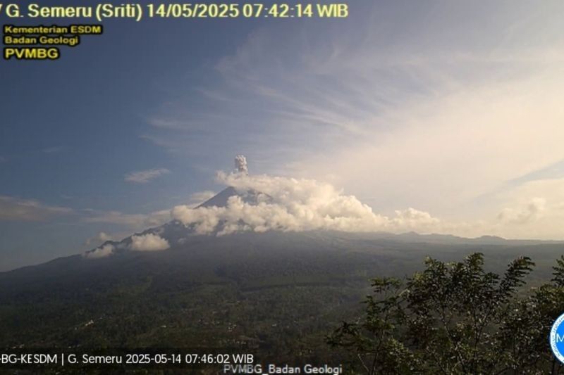 Semeru Erupsi! Letusan Capai 1000 Meter, Warga Diminta Jauhi Zona Bahaya