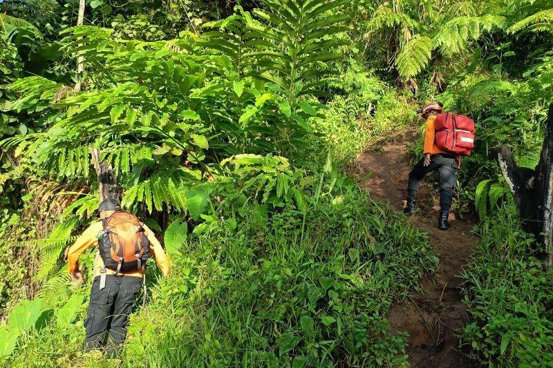 Remaja Hilang Saat Mendaki Gunung Gamalama, Tim SAR Ternate Terjunkan Tim Pencarian