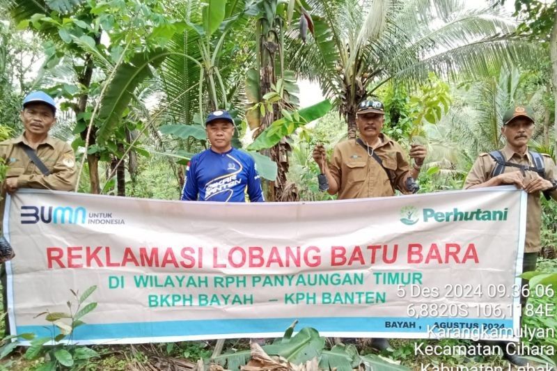 Perhutani Lebak Gandeng TNI-Polri Cegah Tambang Ilegal Batu Bara