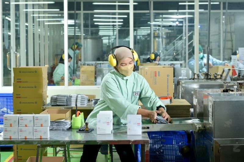 Omed Raih Pendapatan Rp436,3 Miliar di Kuartal I-2025, Ekspansi Internasional Jadi Sorotan