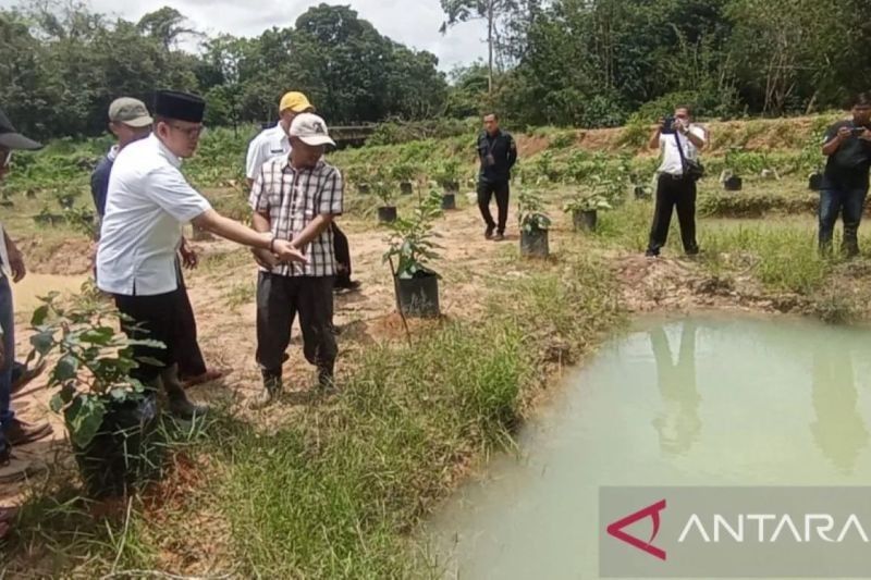 Desa Martajaya OKU, Kampung Budi Daya Ikan Gabus untuk Tingkatkan Ekonomi Masyarakat