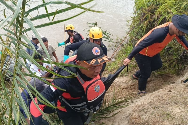 Korban Diterkam Buaya di Pasaman Barat Ditemukan Meninggal Dunia