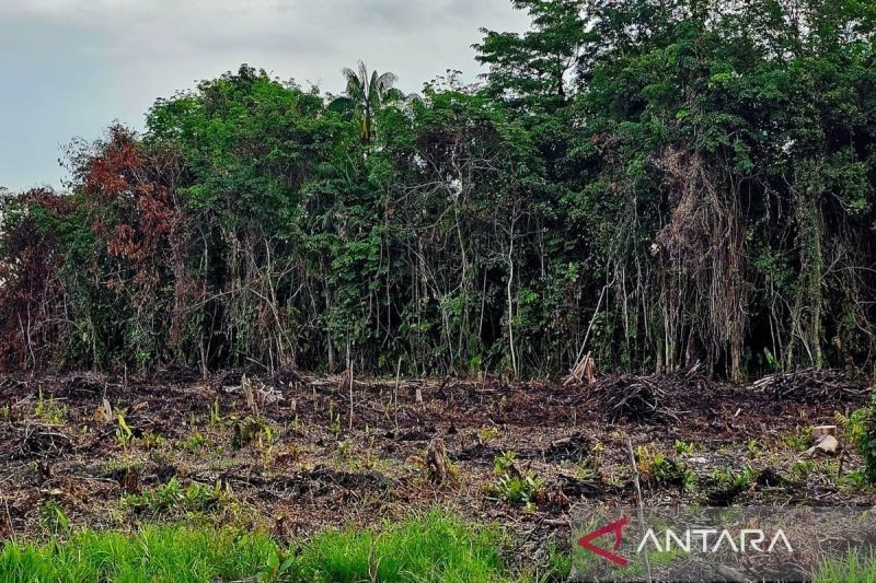 Pemkab Natuna Siapkan Lahan 1,9 Hektare untuk Relokasi Warga Kumuh