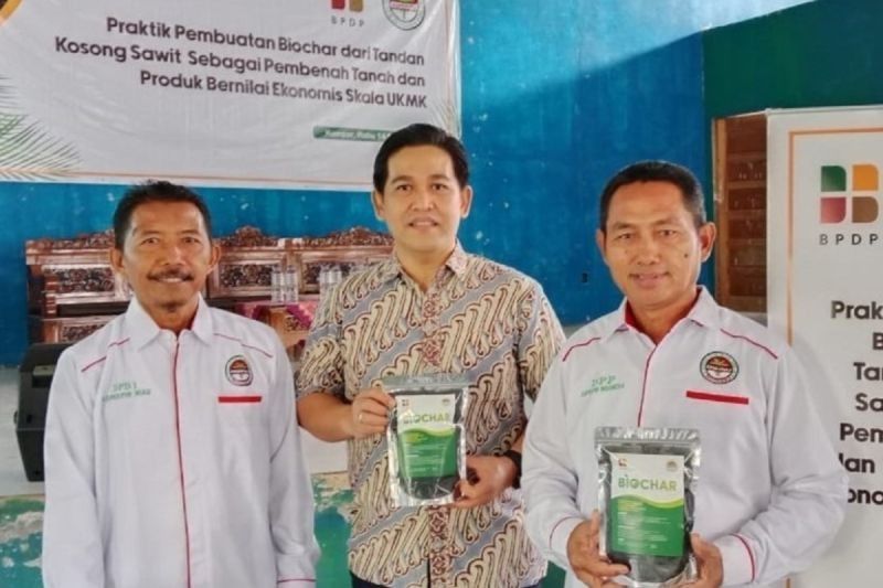 Aspekpir Kembangkan Biochar dari Tandan Kosong Sawit: Solusi Ramah Lingkungan dan Bernilai Ekonomi
