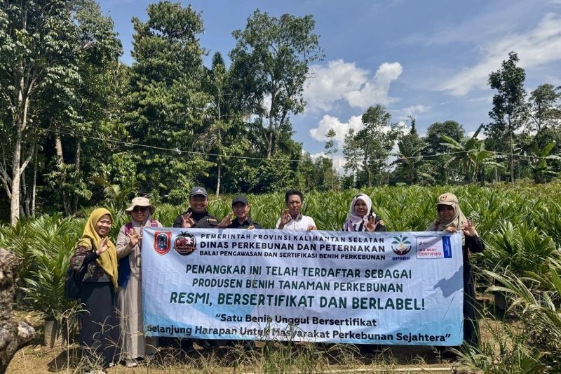 Kalsel Permudah Sertifikasi Penangkar Benih Sawit Lewat Sistem Daring