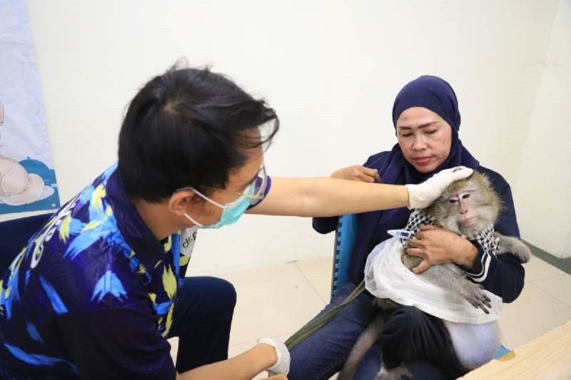 Vaksinasi Rabies Gratis di Tangerang: Lindungi Hewan Kesayangan Anda!