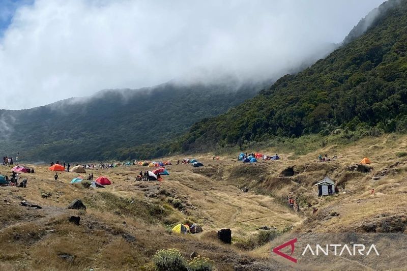 Pendaki Gunung Gede Capai 600 Orang Per Hari, Antrean Panjang Tak Terhindarkan