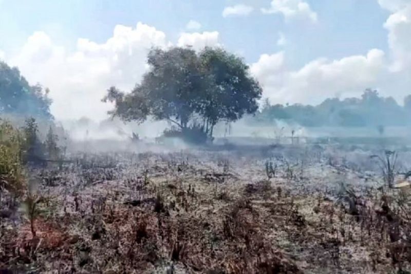 Siaga Karhutla: BPBD Kobar dan Kalteng Siap Hadapi Ancaman Kebakaran Hutan