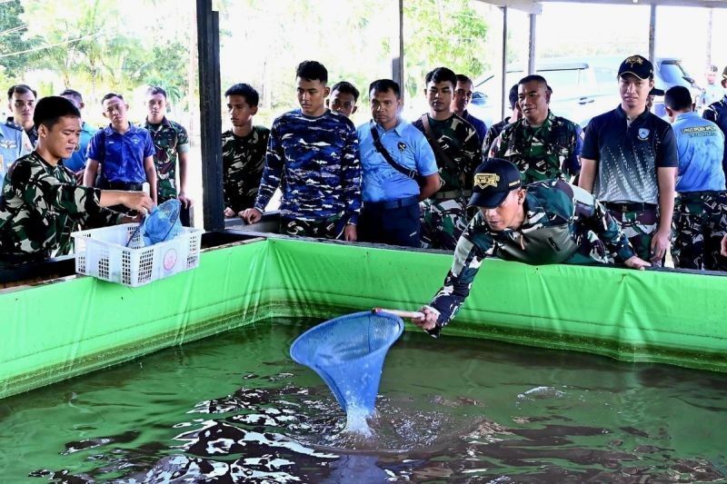 TNI AU Natuna Sukses Budidaya Ikan, Penuhi Kebutuhan Protein Prajurit