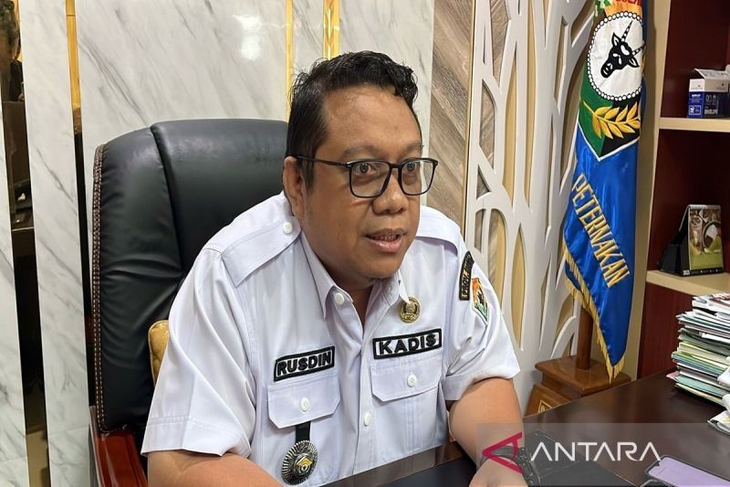 Sulawesi Tenggara Catat Rekor Produksi Gabah Kering Panen: Tembus 96.621 Ton!