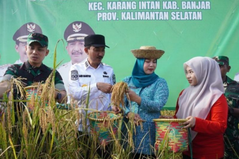 Desa Awang Bangka Barat: Contoh Ketahanan Pangan di Kabupaten Banjar