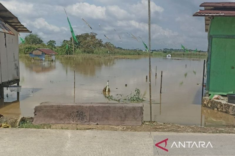 Kaltim Kejar Percepatan Tanam Padi Usai Banjir Samarinda Ancam 50 Hektare Lahan