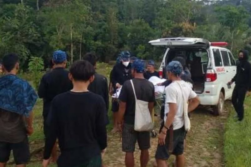 247 Warga Lebak Jadi Korban Gigitan Ular Berbisa, Satu Meninggal!