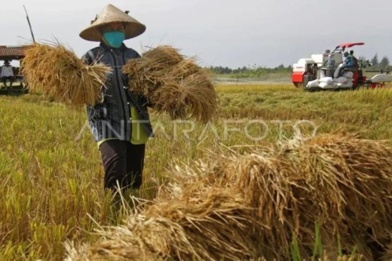 DPRA Aceh Dorong Pembentukan BUMA Pangan untuk Tingkatkan Kesejahteraan Petani