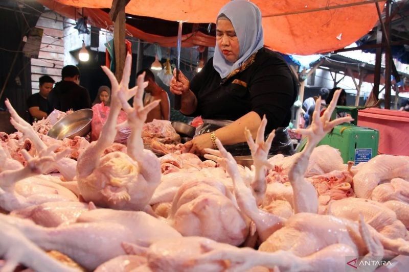 Harga Bawang Merah Turun, Daging Ayam Naik: Bapanas Catat Update Harga Pangan Terbaru
