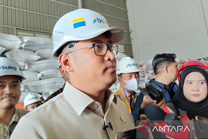 Tren Harga Beras Dunia Menurun, Indonesia Berperan Penting!
