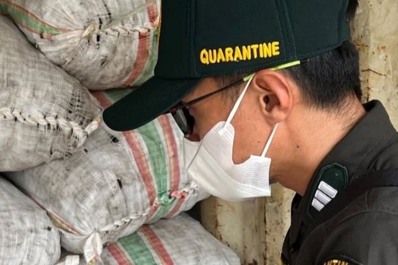 Harga Kopra di Halmahera Utara Tembus Rp20.250 per Kg, Pemkab Jamin Petani Tak Dirugikan