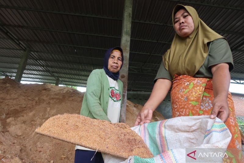 Biomassa: Pilar Ekonomi Kerakyatan Baru di NTB, Ciptakan Ribuan Lapangan Kerja