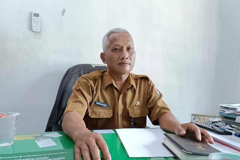 Lahan Tembakau Bojonegoro Melonjak 3.000 Hektare di 2024!